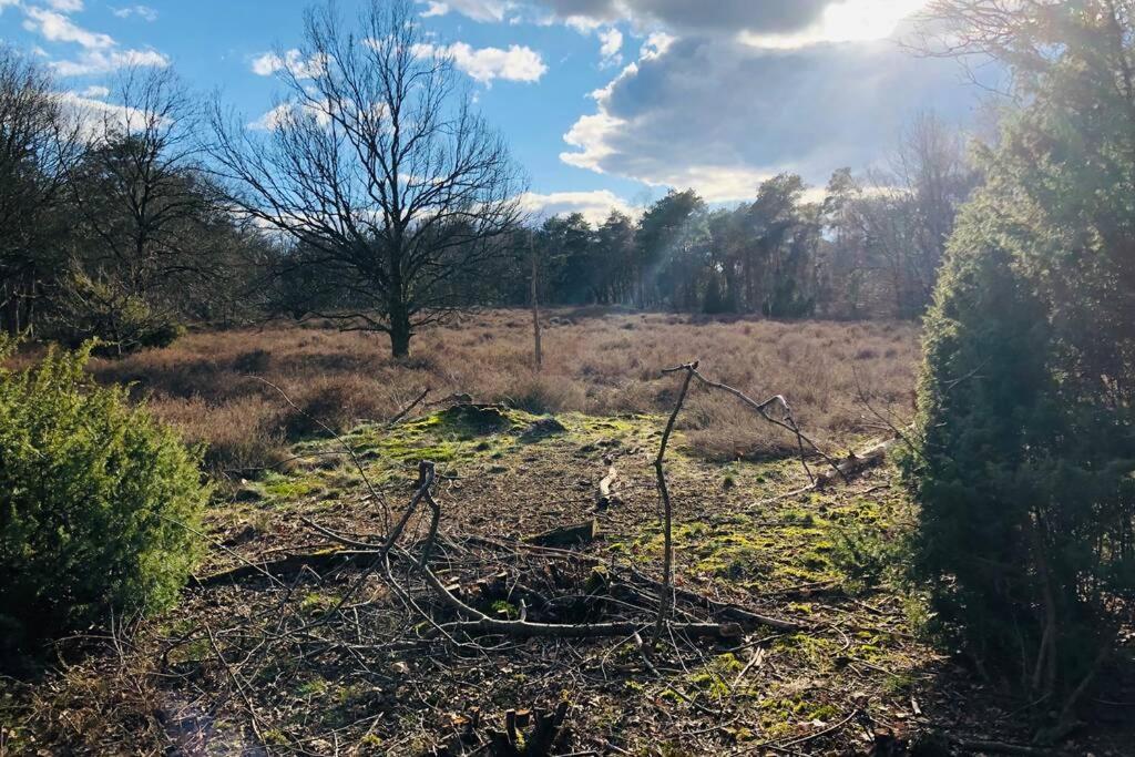 Vakantiebungalow In Bosrijke Omgeving Luttenbergヴィラ エクステリア 写真